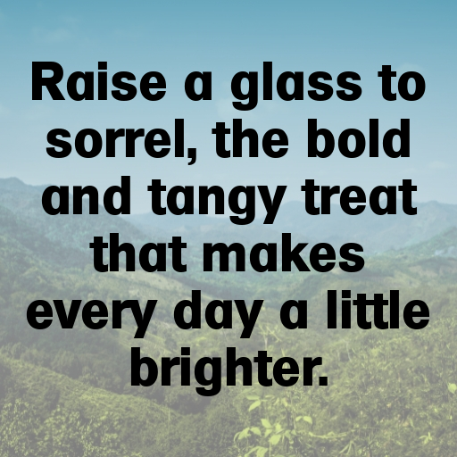 182+ Sorrel Captions For Instagram In (2025) 9 Sorrel Captions Image For Instagram In (2025)-yzBtuQ