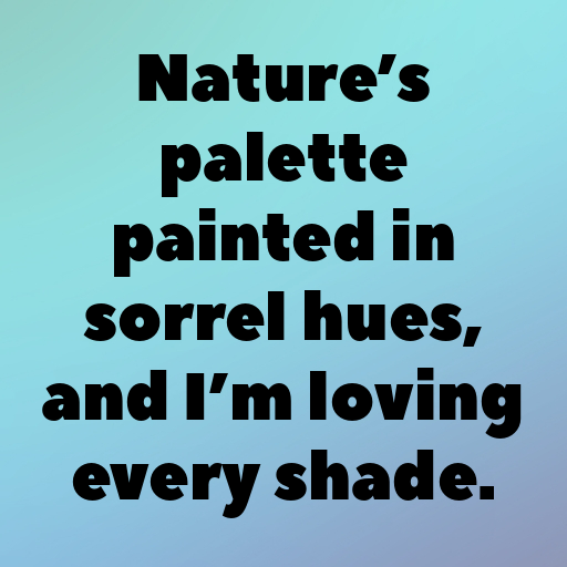182+ Sorrel Captions For Instagram In (2025) 7 Sorrel Captions Photo For Instagram In (2025)-azT27e