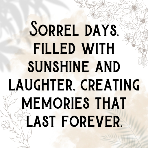 182+ Sorrel Captions For Instagram In (2025) 6 Sorrel Captions Photo For Instagram In (2025)-WjCqy2