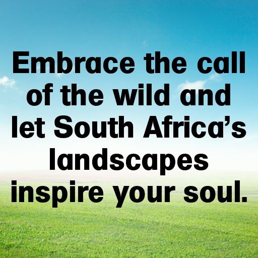 South Africa Captions Image For Instagram In [2025]-LXryWA