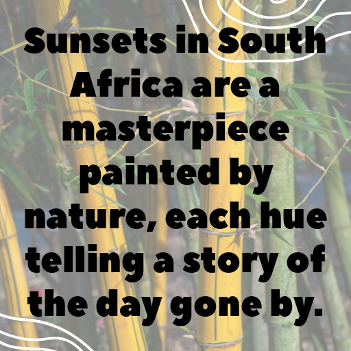 South Africa Captions Photo For Instagram In [2025]-M6Okst