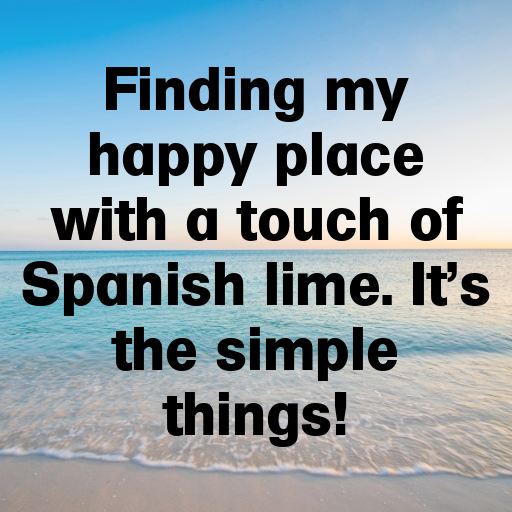 Spanish Lime Captions Image For Instagram In (2025)-4ljdXV