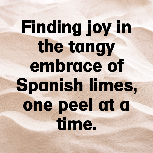 Spanish Lime Captions Image For Instagram In (2025)-5ebhMG