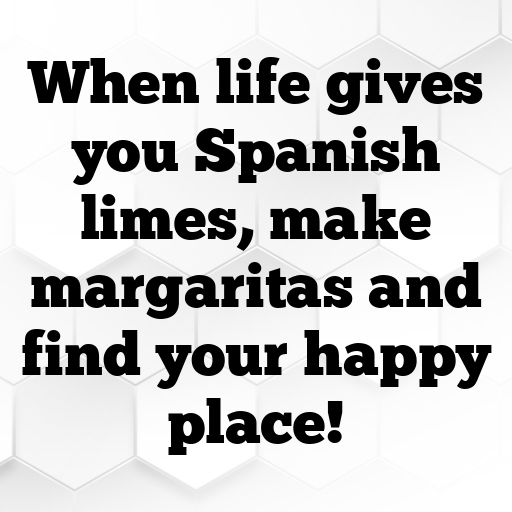 Spanish Lime Captions Image For Instagram In (2025)-P9CPW2