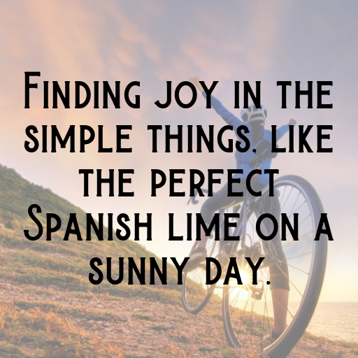 Spanish Lime Captions Photo For Instagram In (2025)-G5ZLOQ