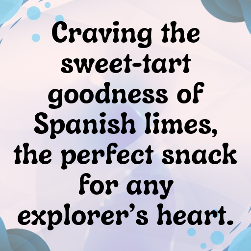 Spanish Lime Captions Photo For Instagram In (2025)-QmloAA
