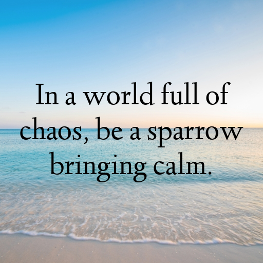 Sparrow Captions Photo For Instagram In [2025]-N6R7nb