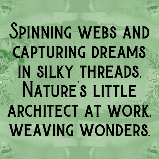 Spider Captions Image For Instagram In [2025]-578sIy