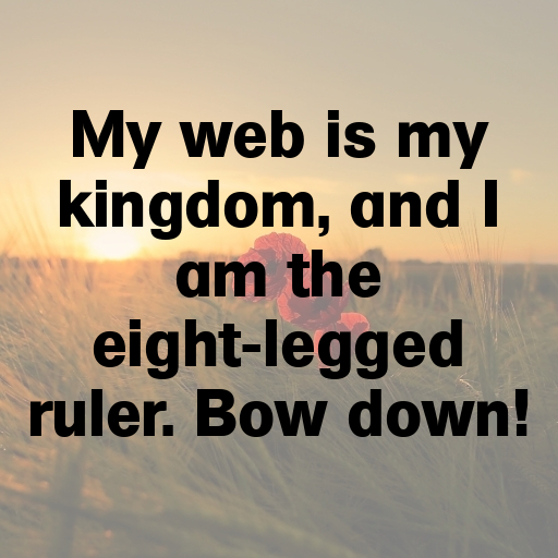 Spider Captions Photo For Instagram In [2025]-pBLe0N