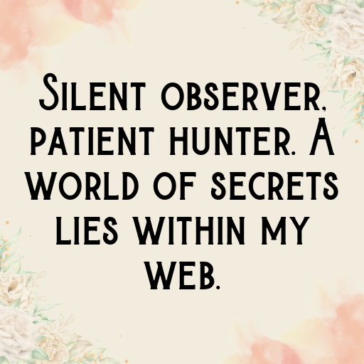 Spider Captions Photo For Instagram In [2025]-ZVjzPE