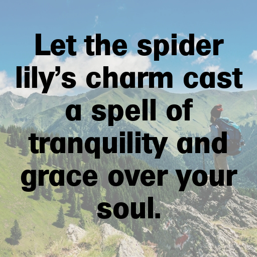 Spider Lily Captions Image For Instagram In [2025]-AZOvia