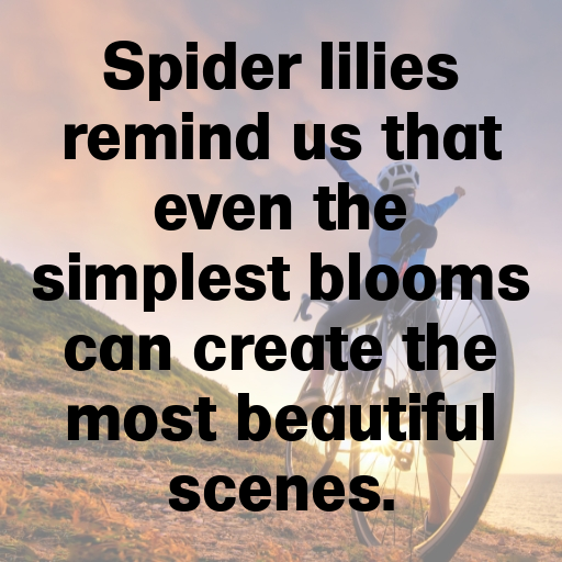 Spider Lily Captions Image For Instagram In [2025]-W8XaL0