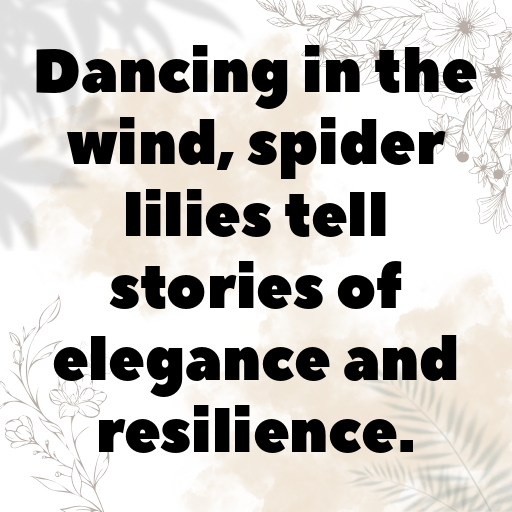 Spider Lily Captions Photo For Instagram In [2025]-5wb7bk