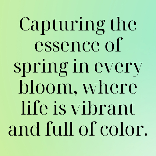 Spring Blossom Captions Photo for Instagram In (2025)-nwweRd