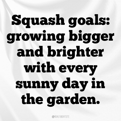 Squash Captions Photo For Instagram In (2025)-hNU7g0