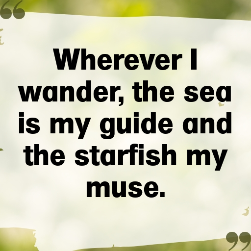155+ Starfish Captions For Instagram In (2025) 3 Starfish Captions Image For Instagram In (2025)-V2O0B9