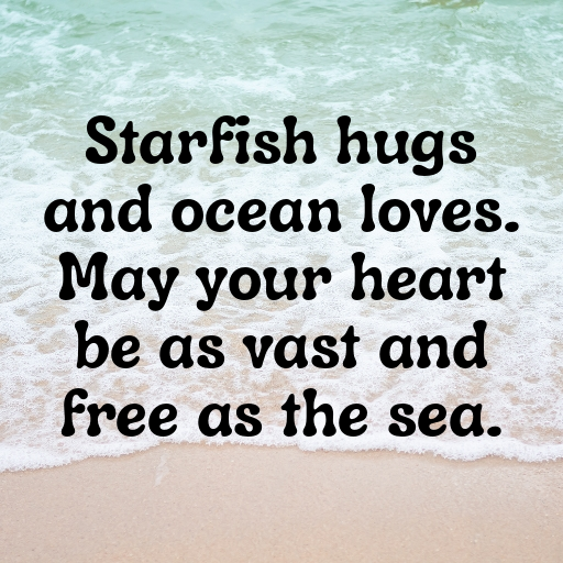 155+ Starfish Captions For Instagram In (2025) 8 Starfish Captions Photo For Instagram In (2025)-AwiSrD