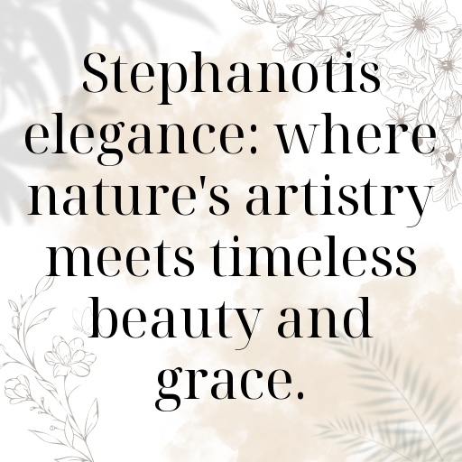 Stephanotis Captions Image For Instagram In [2025]-1SU5VR