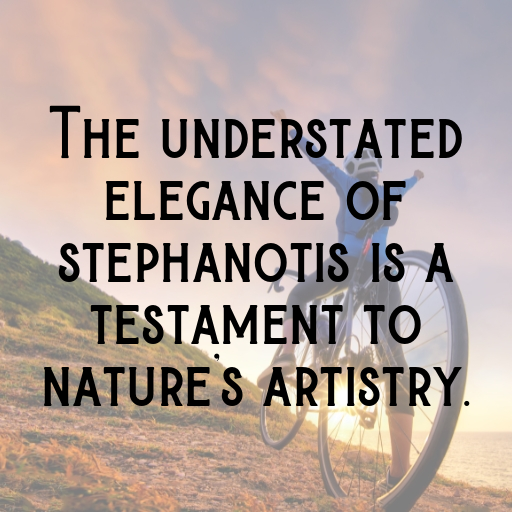 Stephanotis Captions Image For Instagram In [2025]-DXaKxC