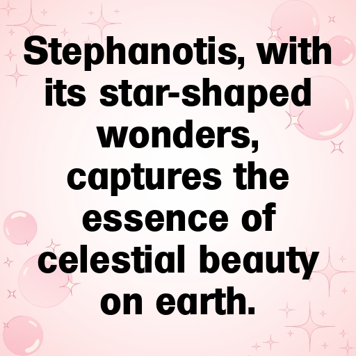 Stephanotis Captions Photo For Instagram In [2025]-I9Pvbd