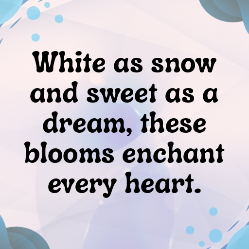 Stephanotis Captions Photo For Instagram In [2025]-ORQAvi