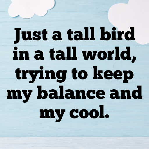 Stork Captions Photo For Instagram In [2025]-PPmWzs