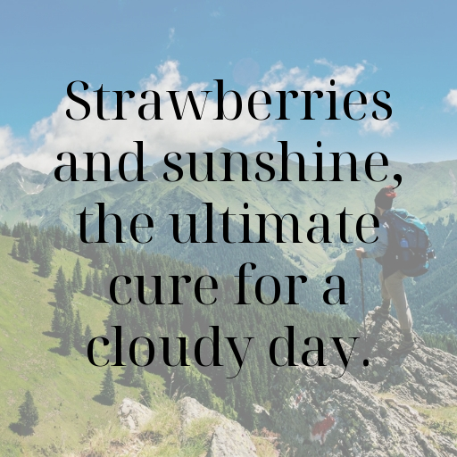 165+ Strawberry Captions For Instagram In 2025 6 Strawberry Captions Image For Instagram In 2025-vVsfdj