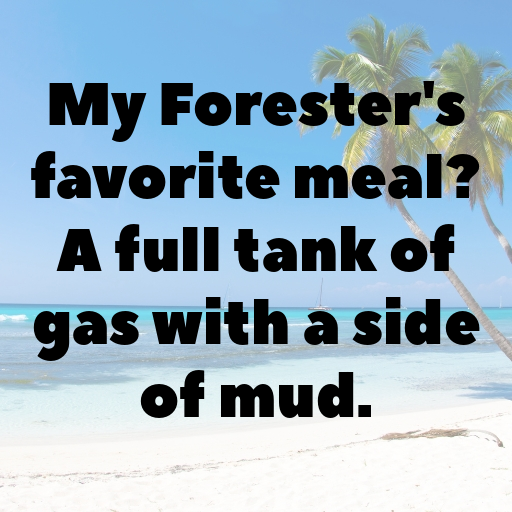 Subaru Forester Captions Image for Instagram In [2025]-I013bZ