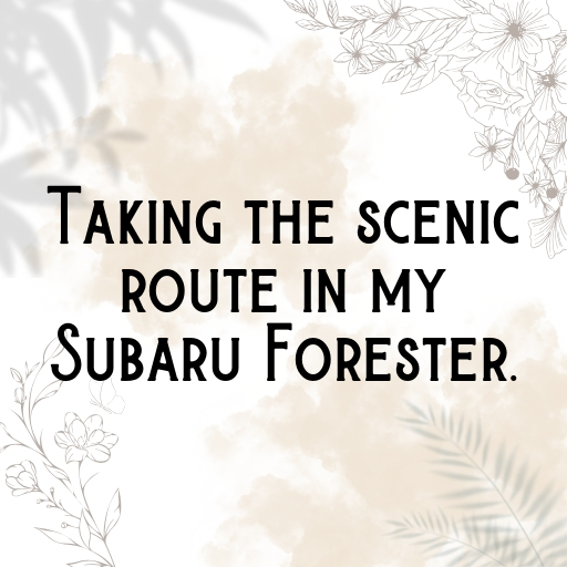 Subaru Forester Captions Image for Instagram In [2025]-pv8VkU