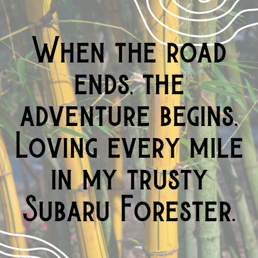 Subaru Forester Captions Photo for Instagram In [2025]-BlPyjZ