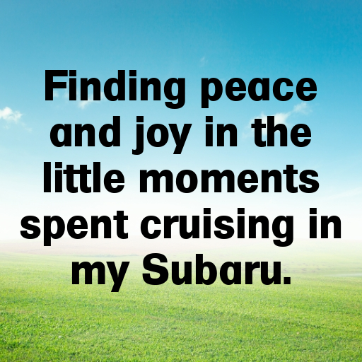 160+ Subaru Impreza Captions for Instagram In 2025 6 Subaru Impreza Captions Photo for Instagram In 2025-ry2bge