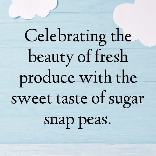 Sugar Snap Pea Captions Image For Instagram In [2025]-8tO7b2