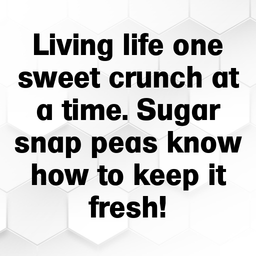 Sugar Snap Pea Captions Image For Instagram In [2025]-MIyMM4