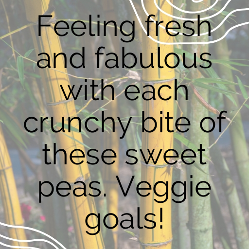 Sugar Snap Pea Captions Photo For Instagram In [2025]-sMP7WG