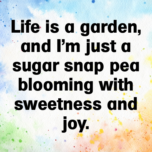 Sugar Snap Pea Captions Photo For Instagram In [2025]-Yq2uFi