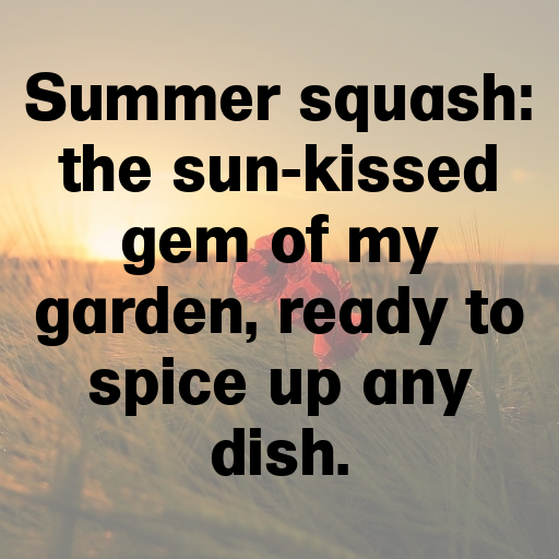 Summer Squash Captions Image For Instagram In (2025)-2b8FCi