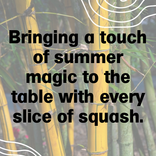 Summer Squash Captions Photo For Instagram In (2025)-ExKxc1
