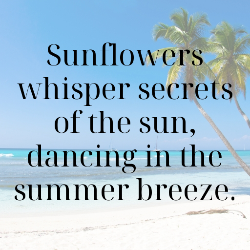 Sunflower Captions Image For Instagram In 2025-2bJumC
