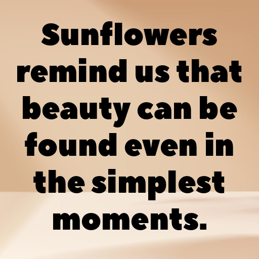 Sunflower Captions Image For Instagram In 2025-3pIgVM