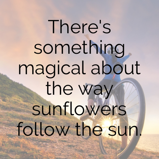 Sunflower Captions Image For Instagram In 2025-R1odGF