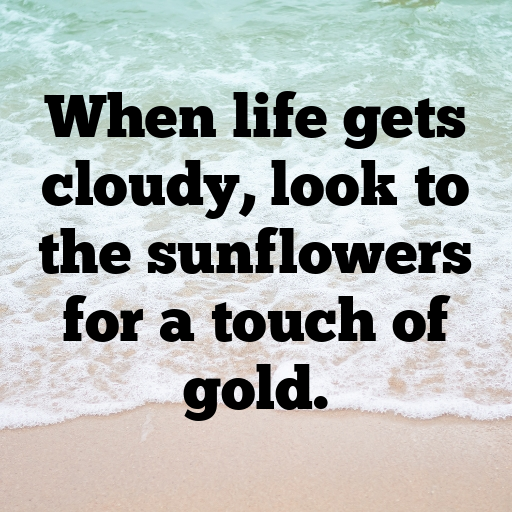 Sunflower Captions Photo For Instagram In 2025-czGq8a