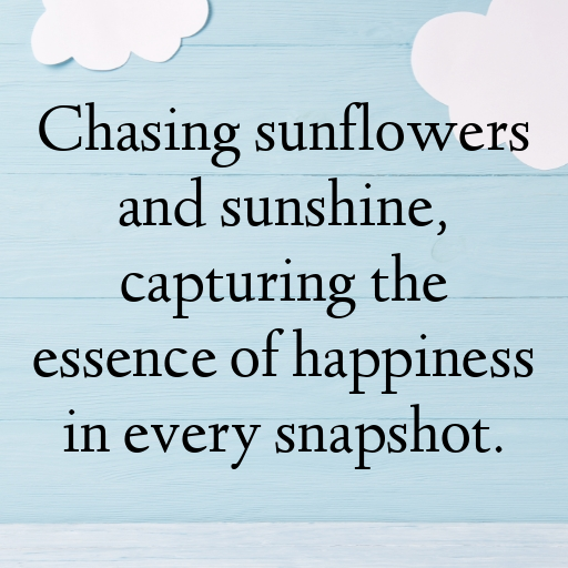 Sunflower Captions Photo For Instagram In 2025-wMLT7K