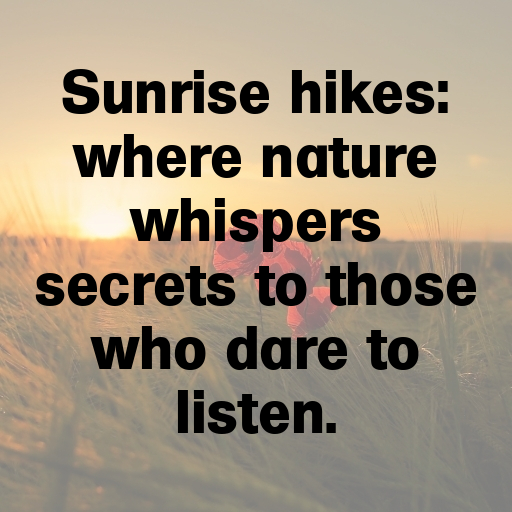 190+ Sunrise Hike Captions for Instagram In (2025) 3 Sunrise Hike Captions Image for Instagram In (2025)-QC00jX