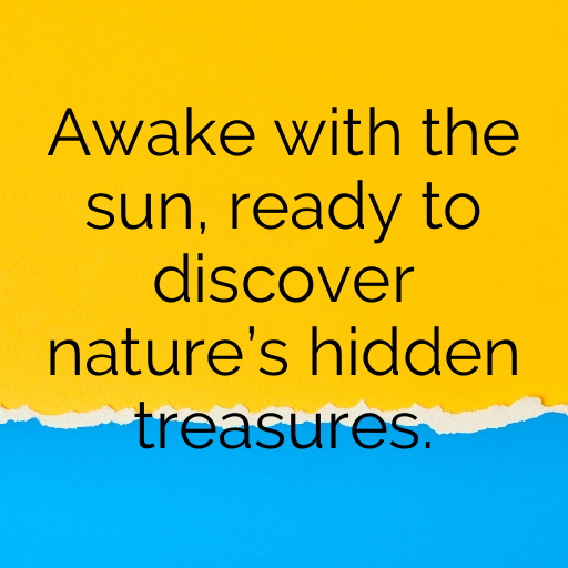 190+ Sunrise Hike Captions for Instagram In (2025) 5 Sunrise Hike Captions Photo for Instagram In (2025)-lnfAwV