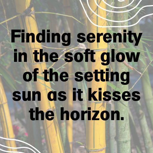 Sunset Captions Photo for Instagram In (2025)-M2hHlw