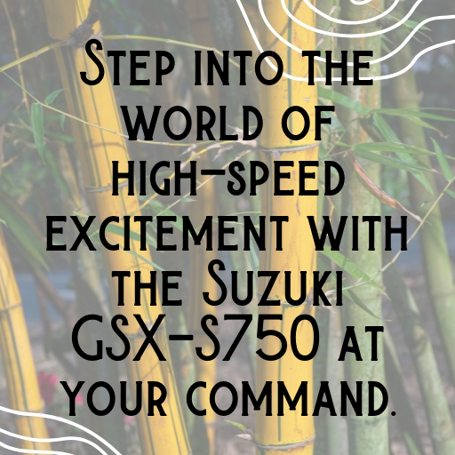 Suzuki GSX-S750 Captions Photo for Instagram In [2025]-scH7d9