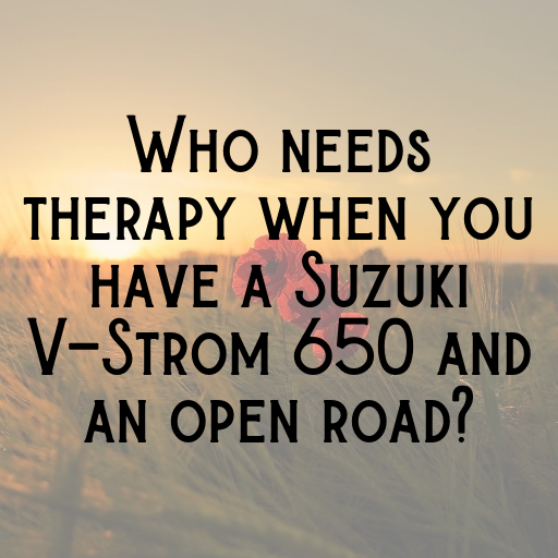 Suzuki V-Strom 650 Captions Image for Instagram In [2025]-CeBRYy