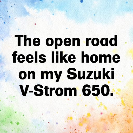 Suzuki V-Strom 650 Captions Image for Instagram In [2025]-YWULPg