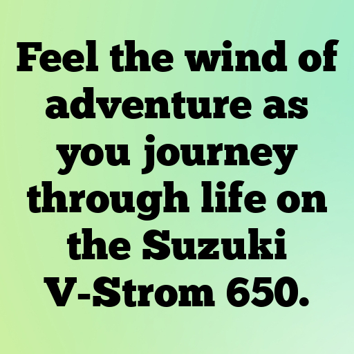 Suzuki V-Strom 650 Captions Photo for Instagram In [2025]-fCQWAp