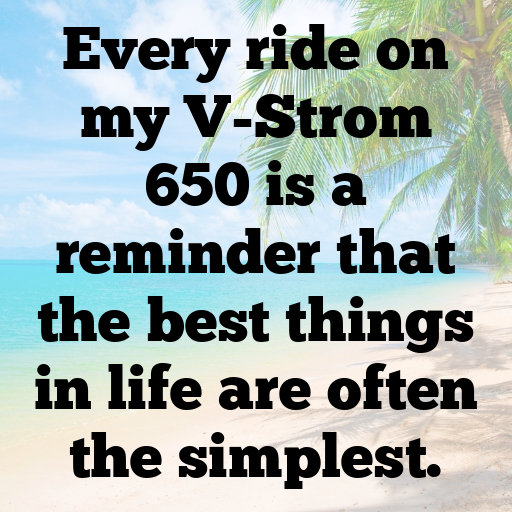 Suzuki V-Strom 650 Captions Photo for Instagram In [2025]-s7OE0p